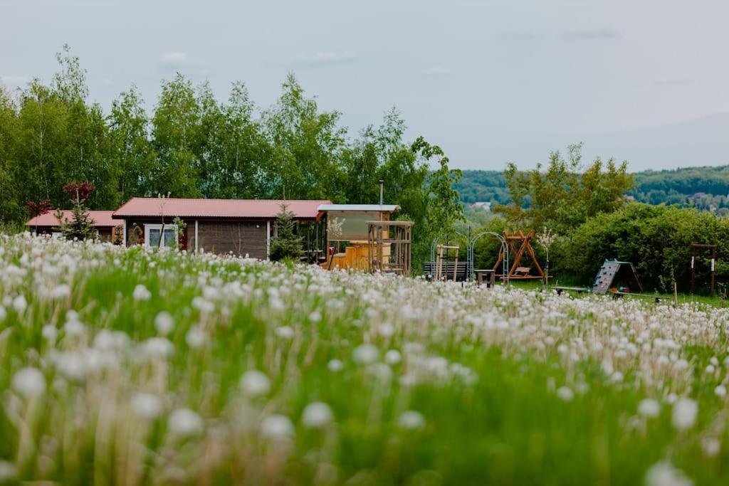 Domki Na Gorniej Lace - Domek Slowik Lazany Exterior foto