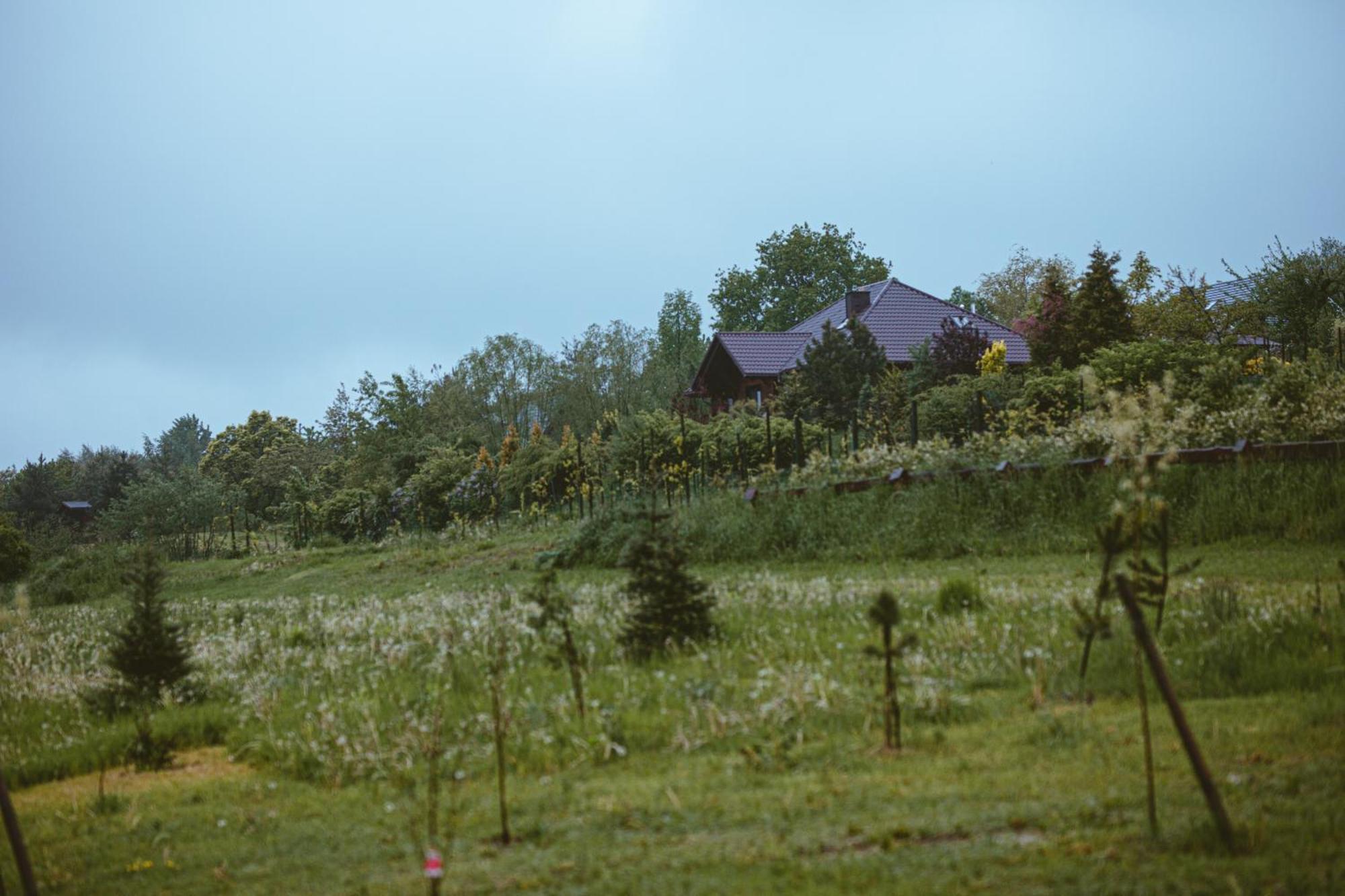 Domki Na Gorniej Lace - Domek Slowik Lazany Exterior foto